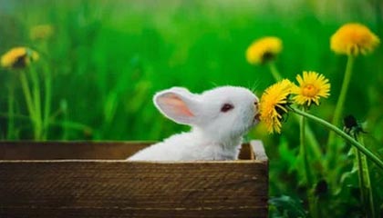 詹姆斯刷新最老三双纪录 胜场数追平贾巴尔并列第一