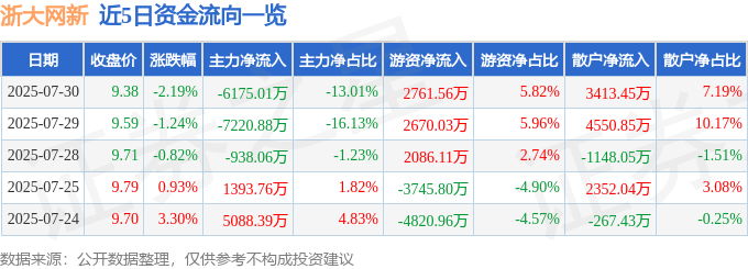股票行情快报：浙大网新（600797）7月30日主力资金净卖出6175.01万元