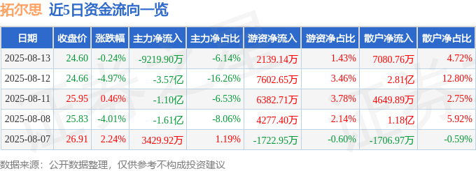 股票行情快报：拓尔思（300229）8月13日主力资金净卖出9219.90万元