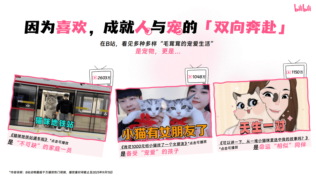 哔哩哔哩运营:哔哩哔哩2025年宠物行业营销通案