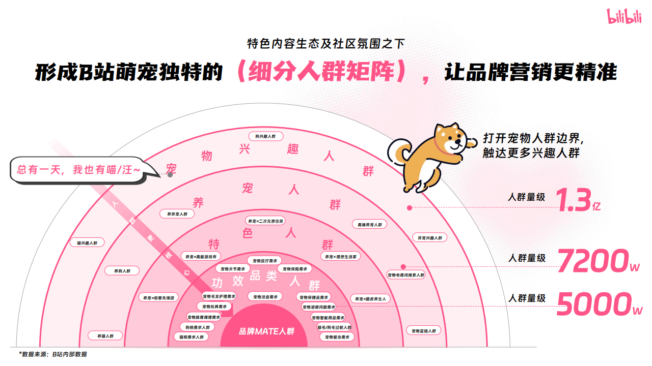 哔哩哔哩运营:哔哩哔哩2025年宠物行业营销通案
