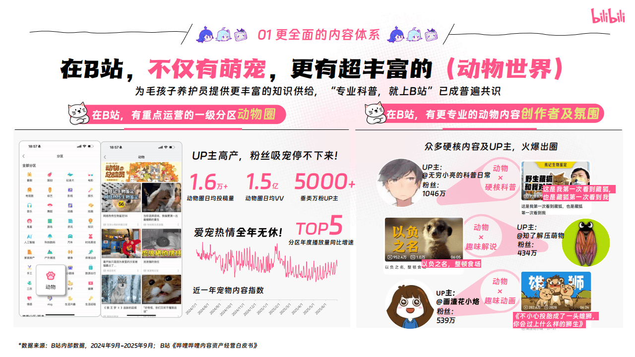 哔哩哔哩运营:哔哩哔哩2025年宠物行业营销通案