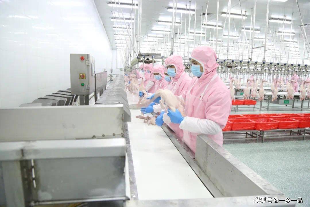 郑州银行信阳分行行长乔丽冉一行到华英农业参观调研