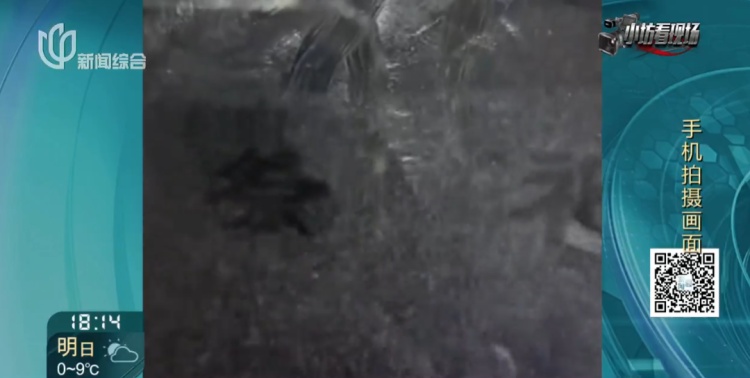 上海阿姨卡里突然多出一笔巨款!这笔钱竟被带到墓地……