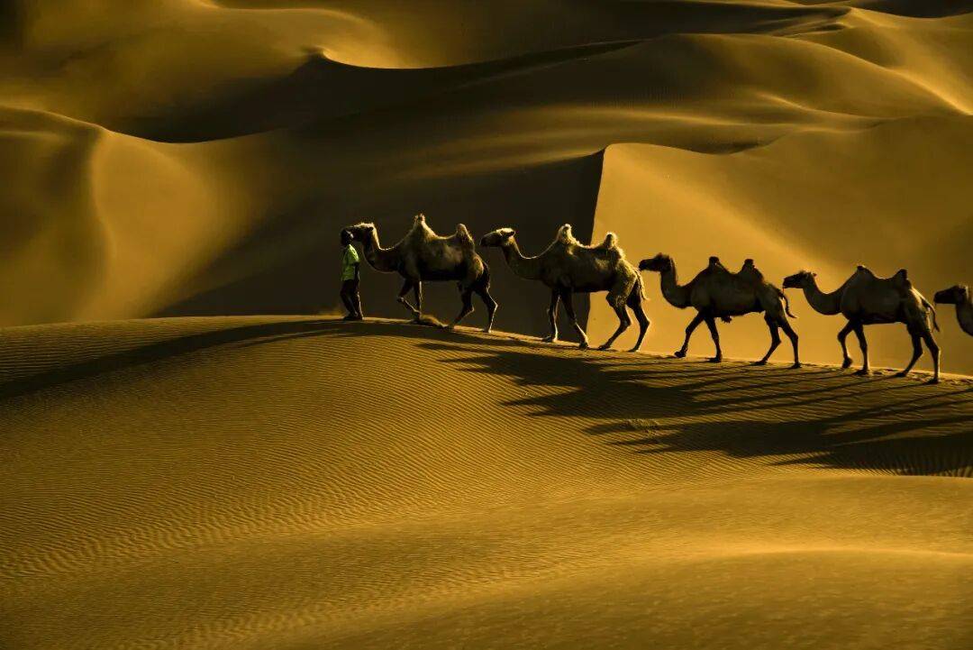 阿拉伯数字，竟然不是阿拉伯人发明的？那到底是谁？